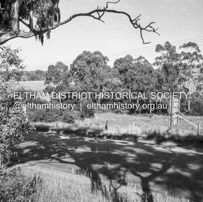 Negative - Photograph, J.A. McDonald, Eltham-Yarra Glen Road, Lower Plenty, c. July 1962