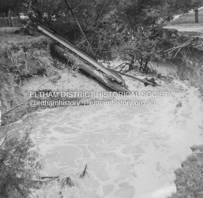 Album - Photograph, J.A. McDonald, Dixons Creek Road, 23 Sep. 1955