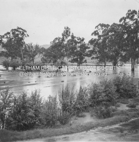 Album - Photograph, J.A. McDonald, Eltham-Diamond Creek Road, 21 Oct. 1953