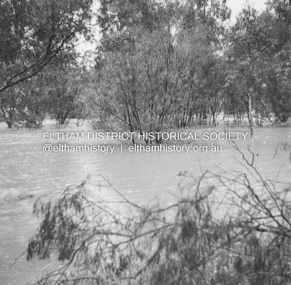 Album - Photograph, J.A. McDonald, Eltham-Diamond Creek Road, 21 Oct. 1953