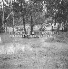 Album - Photograph, J.A. McDonald, Eltham-Diamond Creek Road, 21 Oct. 1953