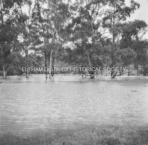 Album - Photograph, J.A. McDonald, Eltham-Diamond Creek Road, 21 Oct. 1953