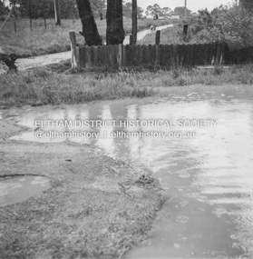 Album - Photograph, J.A. McDonald, Eltham-Diamond Creek Road, 21 Oct. 1953