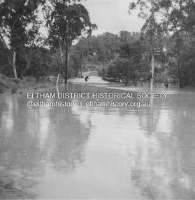 Album - Photograph, J.A. McDonald, Eltham-Diamond Creek Road, 21 Oct. 1953