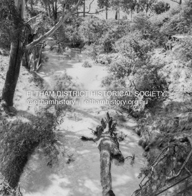 Album - Photograph, J.A. McDonald, Eltham-Diamond Creek Road, 21 Sep. 1959