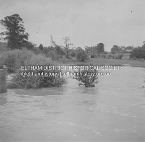 Album - Photograph, J.A. McDonald, Eltham-Greensborough Road, 18 Oct. 1956