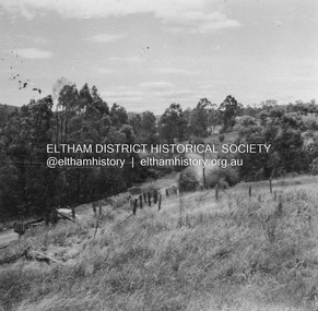 Album - Photograph, J.A. McDonald, Heidelberg-Kinglake Road, c. 1956