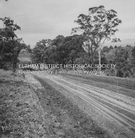 Album - Photograph, J.A. McDonald, Kangaroo Ground-Warrandyte Road, c. Sep. 1955