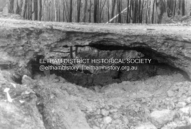 Album - Photograph, J.A. McDonald, Salters Rush Road, Smiths Gully, Aug. 1962
