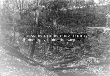 Album - Photograph, J.A. McDonald, Salters Rush Road, Smiths Gully, Aug. 1962