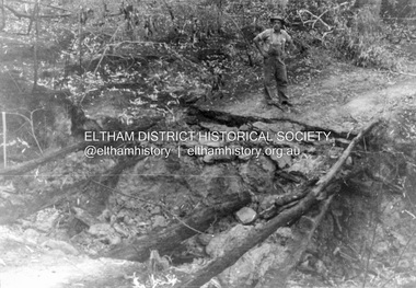 Album - Photograph, J.A. McDonald, Black Cameron Road, Smiths Gully, Aug. 1962