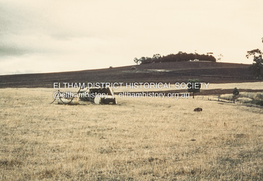 Album - Photograph, J.A. McDonald, Garden Hill, Kangaroo Ground, c. 1962