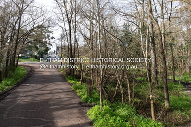 Photograph, Peter Pidgeon, Site of the former Village Pond, Main Road, Eltham, 2 Aug. 2022