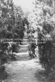 Photograph - Black and White Print, Lewis Tulk, Stage IV Scout Leader Training course, Gillwell Park, Gembrook, Vic, c.1960