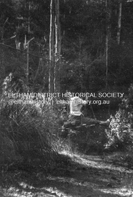 Photograph - Negative, Lewis Tulk, Senior scouting pioneering activities possibly near Tommy's Hut, Kinglake, c.1980