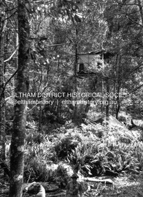 Photograph - Negative, Lewis Tulk, Senior scouting pioneering activities possibly near Tommy's Hut, Kinglake, c.1980