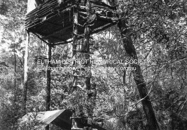 Photograph - Negative, Lewis Tulk, Senior scouting pioneering activities possibly near Tommy's Hut, Kinglake, c.1980