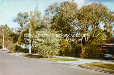 Photograph - Colour Print, Lewis Tulk, 28 Wattle Avenue, Montmorency, c.1982