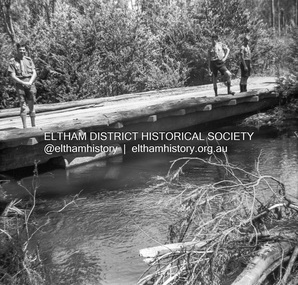 Photograph - Negative, Lewis Tulk, Scouting activities near Kinglake, Vic, c.May 1957