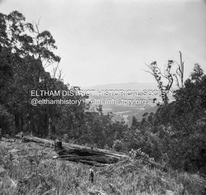 Photograph - Negative, Lewis Tulk, Scouting activities near Kinglake, Vic, c.May 1957