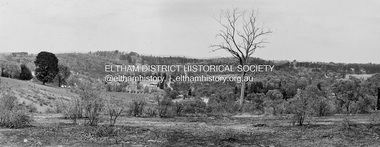 Photograph, Barry Philp, Looking north from the top of the hill near Reynolds Road, Research, c.1969