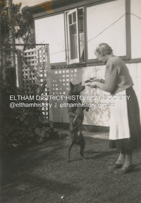Photograph, Ada Ingram (nee Key) at 9 Minifie Avenue, Anglesea, c.1949