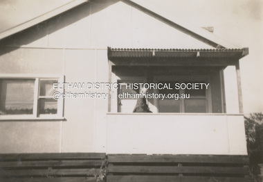 Photograph, Pam Ingram on verandah of family home at 19 Thomas Street, Eltham, c.1951