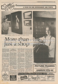 Document - Property Binder, 715 Main Road, Eltham