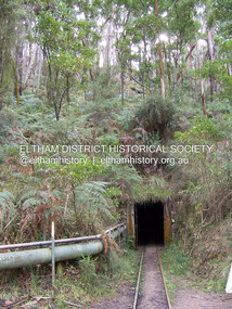 Photograph - Digital Photograph, Marguerite Marshall, One Tree Hill Mine, Smiths Gully, 8 June 2006