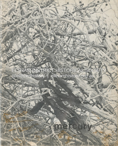 Magazine, Eltham High School, Mercury, 1970