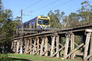 Photograph - Digital Photograph, Alan King, Eltham Railway Trestle Bridge, 28 December 2007