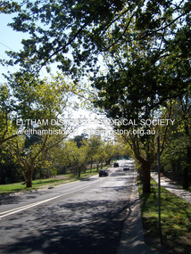 Photograph - Digital Photograph, Marguerite Marshall, Avenue of Honour, Main Road, Eltham, 20 April 2008