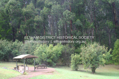 Photograph - Digital Photograph, Alan King, Kinglake National Park, 27 March 2008