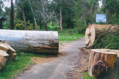 Photograph, Fay Bridge, Storm damage, Wingrove Park, Main Road, Eltham, c.2004
