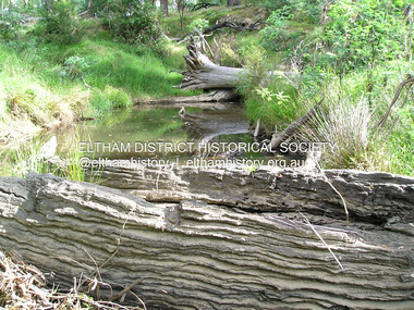 Photograph, Fay Bridge, Old timbers in the Diamond Creek at Hurstbridge, 27 February 2018