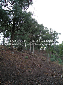 Photograph, Fay Bridge, Longridge, Alexander Road, Warrandyte, 4 May 2019