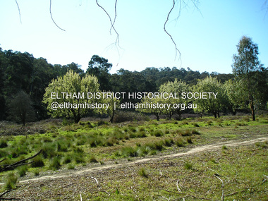Photograph, Fay Bridge, Remains of apple orchard near the Diamond Creek, Wattle Glen, 11 October 2018