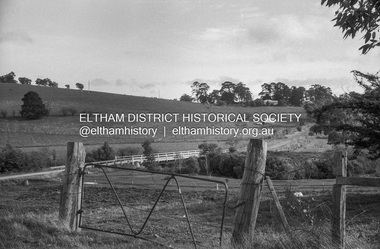 Negative - Photograph, Russell Yeoman, Linton's bridge over Arthurs Creek, Nutfield, c.1970