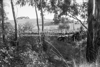 Negative - Photograph, Russell Yeoman, Cottles Bridge over Diamond Creek, Cottles Bridge-Strathewan Road, Cottles Bridge, c.1970