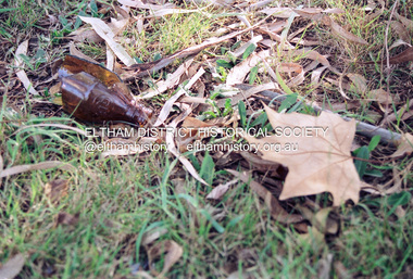 Photograph (Item) - Print, Andrew Peel, Beer Bottles and Leaves, 1988