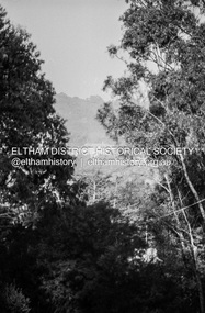Photograph (Item) - Print, Ed Stuyfbergen, View Of Eltham Tavern, 1988