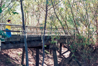 Photograph (Item) - Print, Craig Price, Brougham Street Bridge, 1988
