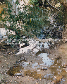 Photograph (Item) - Print, Craig Price, Trees, Water And Beer Bottles - River Bank Eltham, 1988