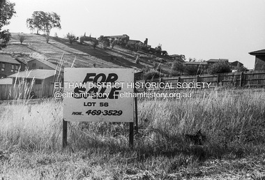Photograph (Item) - Print, S. Durtodi, Untitled (Vacant Lot with For Sale sign), 1988