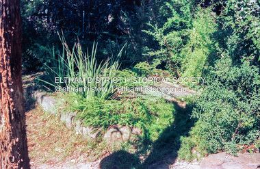 Photograph (Item) - Print, Stephanie Johnson, Untitled (Garden & Creek}, 1988