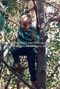 Photograph (Item) - Print, Robyn Price, Lots Of Trees For Kids To Climb On In Eltham, 1988