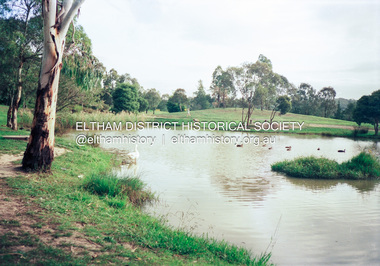 Photograph (Item) - Print, Eltham Town Park Pond - Providing Contemplating & Recreation, 1988