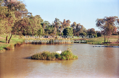 Photograph (Item) - Print, Untitled (Eltham Town Park), 1988