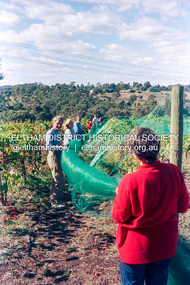 Photograph (Item) - Print, Graham Scott, Untitled (Vineyard Scene), 1988