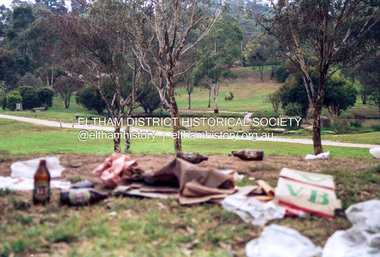 Photograph (Item) - Print, Nicholas West, The Morning After - Rubbish left scattered in Eltham Town Park after the weekend, 1988